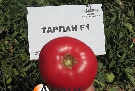 lentos užrašai