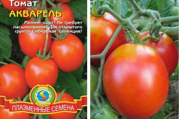 Хибридна акварел