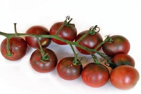 tomate cereja negro