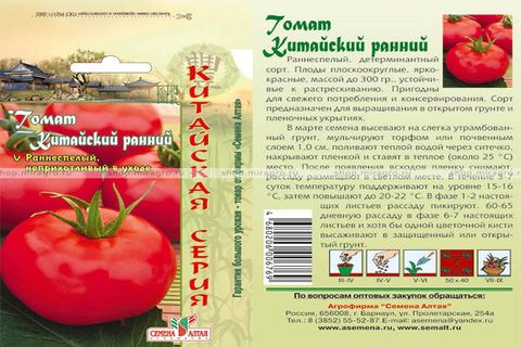 frühe chinesische Tomate