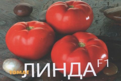 доматена линда