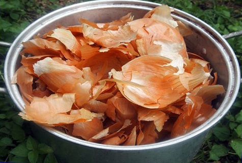 Zwiebelschalen