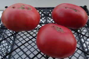 Beskrivelse av tomatvarianten Big Dipper og dens utbytte