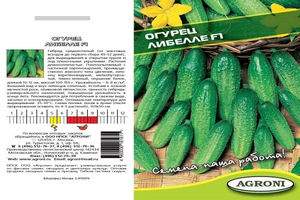 hybrid agurk