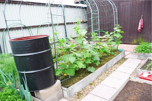 irrigation barrel