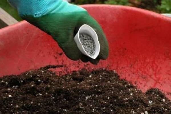 pour the top dressing