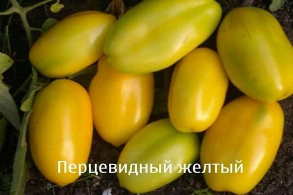 κίτρινο πιπέρι