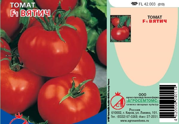 semillas de tomate Vyatich
