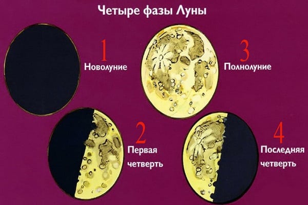 четири фази
