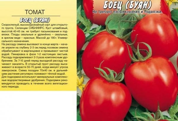 tomato seeds fighter