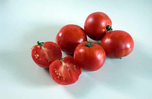 apparence de la tomate Eugene
