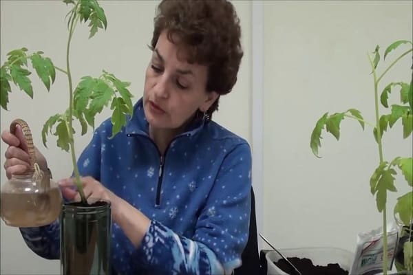 בתיבות נפרדות