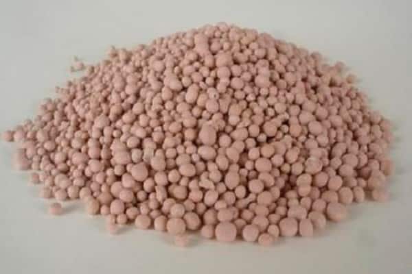 ein Haufen Pellets