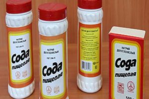 Wie man Kohl von Schädlingen mit Soda behandelt und ist es möglich