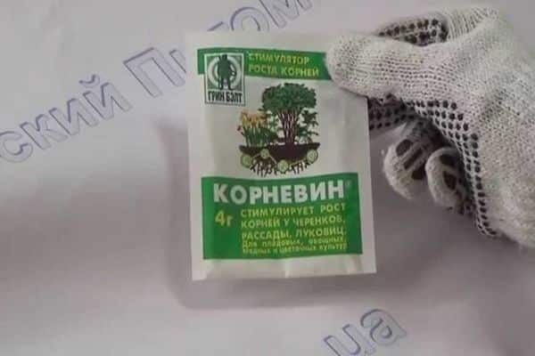 root fertilizer