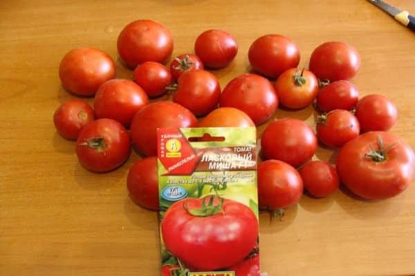 гајење рајчице