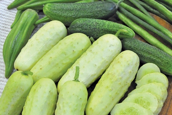 Crunch υβριδικό