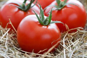 As melhores variedades de tomates altos para terreno aberto e recursos de cultivo