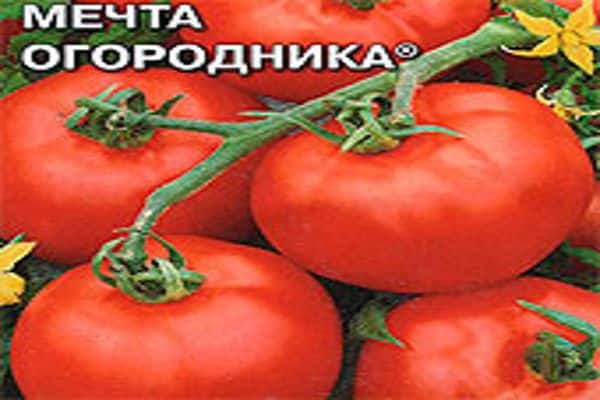 το όνειρο του κηπουρού ντομάτας