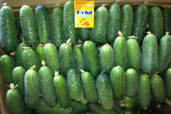 Großhandel