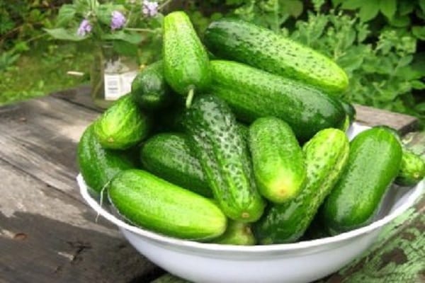 Gurken Schwiegermutter