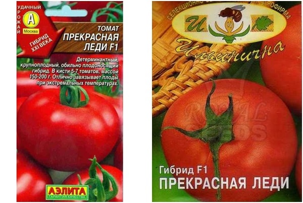Tomaten faire Dame f1