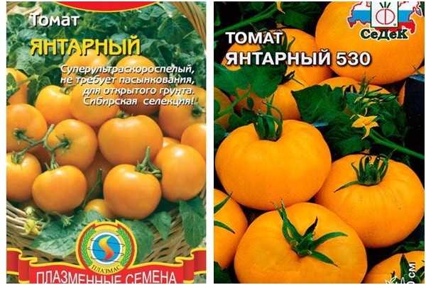 семе парадајза ћилибар