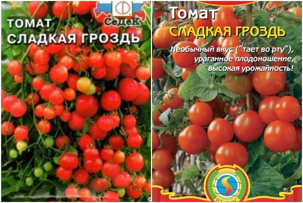 сјеме рајчице слатка грозд