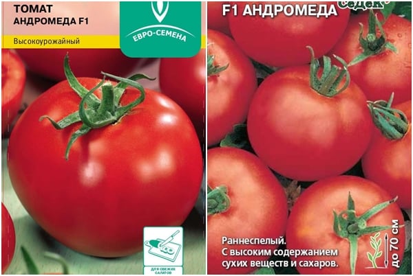 семе парадајза Андромеда Ф1