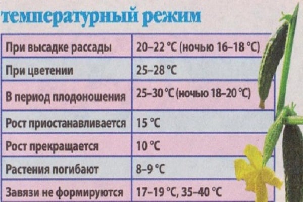 žemės temperatūra