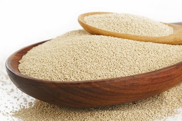 alimentação de fermento