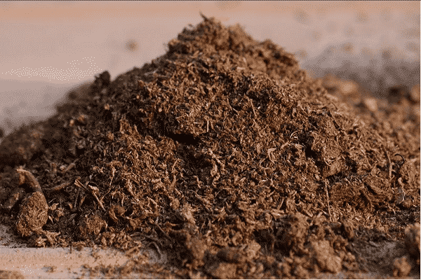 fertilizantes orgânicos