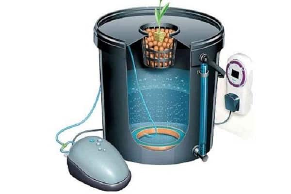 hydroponic method