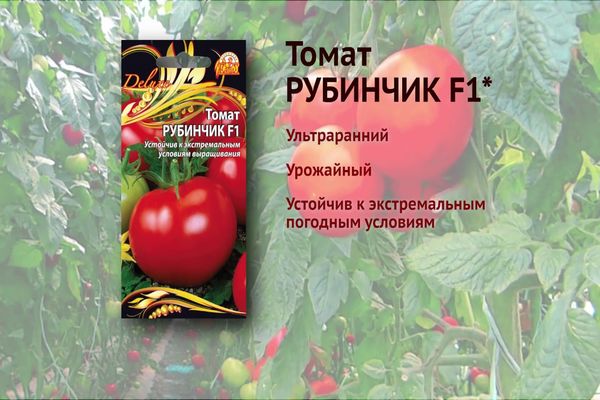 Домат Рубинчик