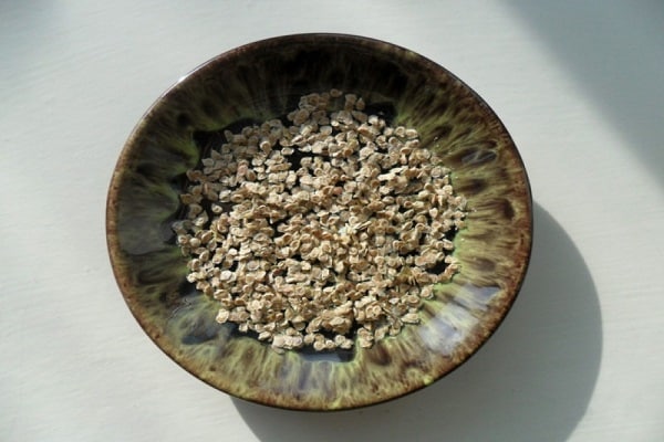 seeds in a plate