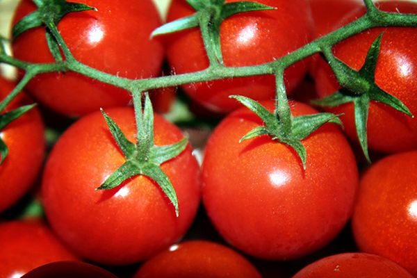tomatoes and cooking