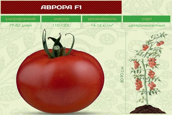  универсален клас