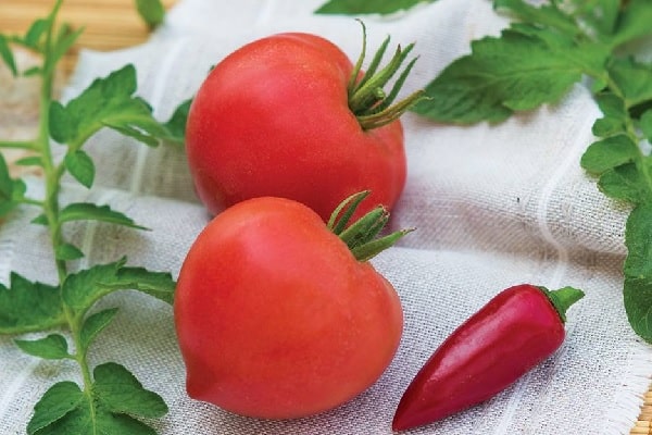 Don Tomate