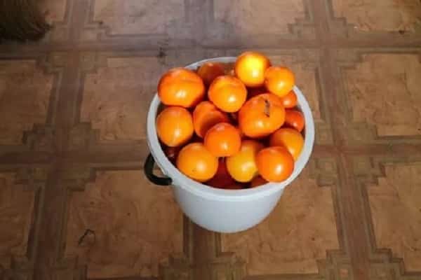 استخدام الحصاد