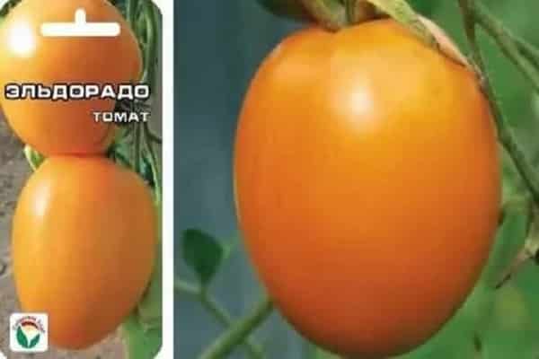 طماطم على شكل قلب