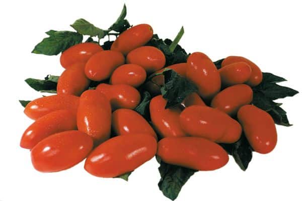 Tomates longues