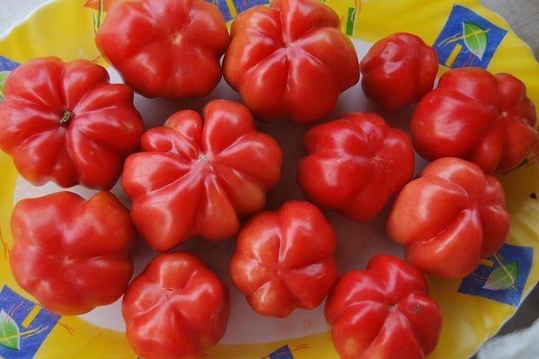 добре листни