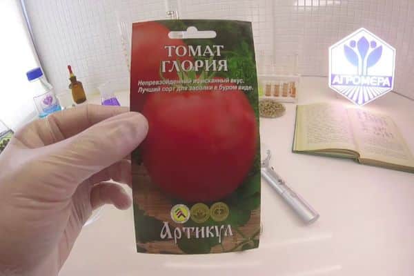 Семион Аглориа