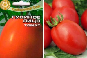 Beschreibung der Tomatensorte Gänseei und ihrer Eigenschaften