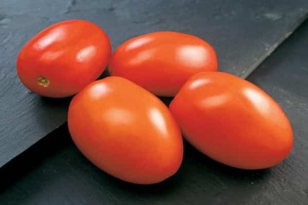 tomate índio