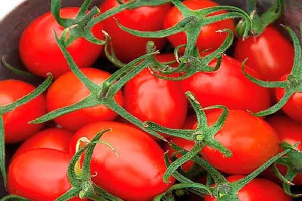 um balde de tomates