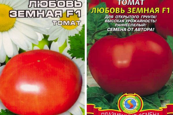 Сјеменке парадајза