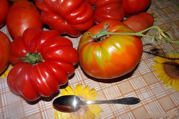 frutas grandes