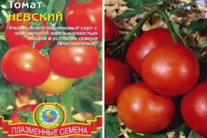 Описание на сорта домат Невски, неговите характеристики и грижа