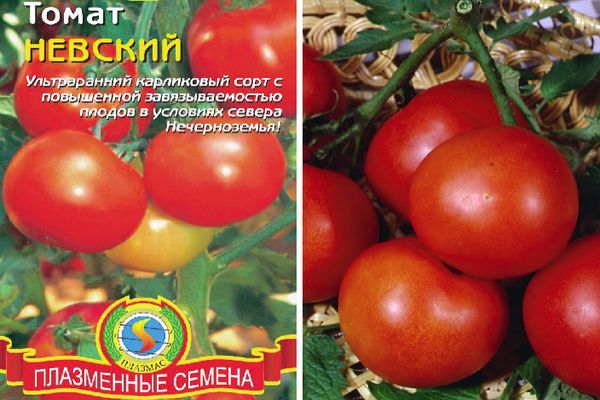 Домат хибрид